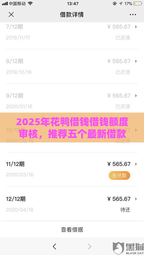 2025年花鸭借钱借钱额度审核，推荐五个最新借款平台最好借钱