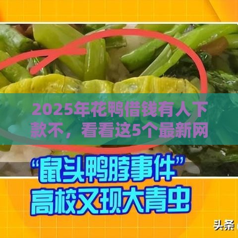 2025年花鸭借钱有人下款不，看看这5个最新网贷投诉平台官网