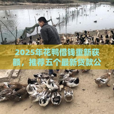 2025年花鸭借钱重新获额，推荐五个最新贷款公司平台