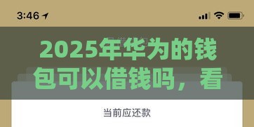 2025年华为的钱包可以借钱吗，看看这5个最新黑户必过的小额平台
