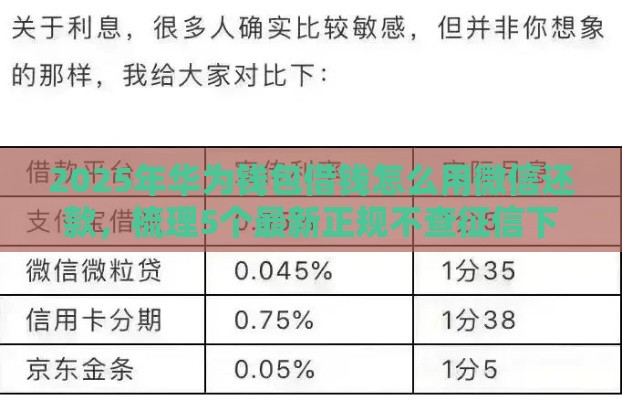 2025年华为钱包借钱怎么用微信还款，梳理5个最新正规不查征信下款的平台