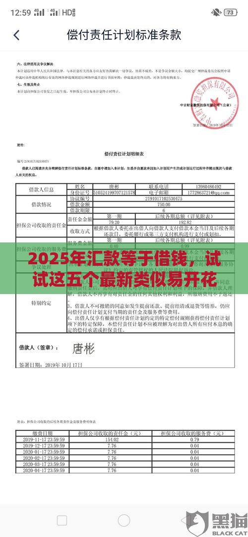 2025年汇款等于借钱，试试这五个最新类似易开花的贷款平台