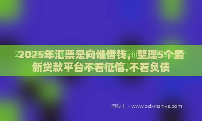 2025年汇票是向谁借钱，整理5个最新贷款平台不看征信,不看负债