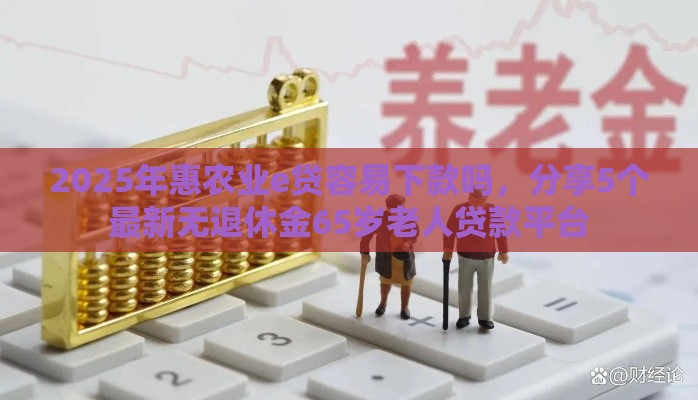 2025年惠农业e贷容易下款吗，分享5个最新无退休金65岁老人贷款平台