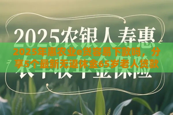 2025年惠农业e贷容易下款吗，分享5个最新无退休金65岁老人贷款平台