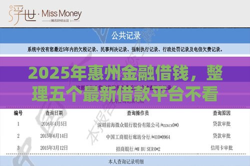 2025年惠州金融借钱，整理五个最新借款平台不看征信线上放款快