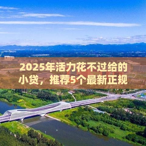 2025年活力花不过给的小贷，推荐5个最新正规平台可以借钱