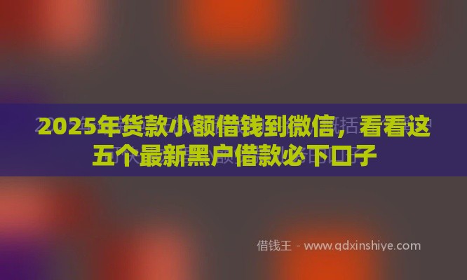 2025年货款小额借钱到微信，看看这五个最新黑户借款必下口子