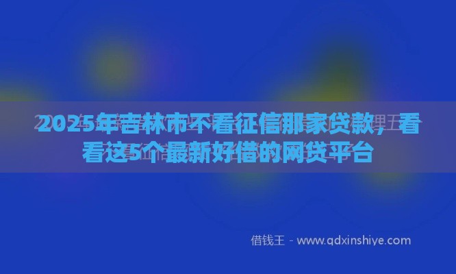 2025年吉林市不看征信那家贷款，看看这5个最新好借的网贷平台