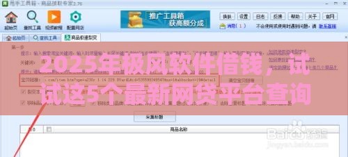 2025年极风软件借钱，试试这5个最新网贷平台查询系统