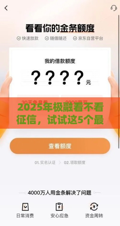 2025年极融看不看征信，试试这5个最新贷款平台容易借又安全