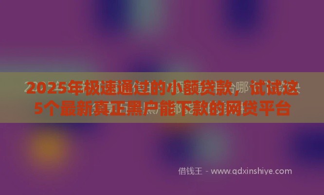 2025年极速通过的小额贷款，试试这5个最新真正黑户能下款的网贷平台