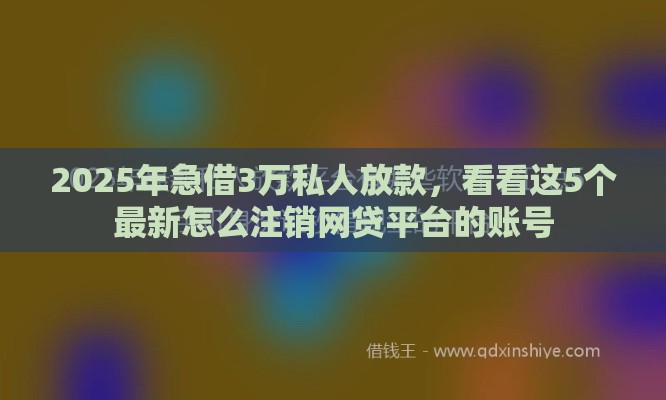 2025年急借3万私人放款，看看这5个最新怎么注销网贷平台的账号