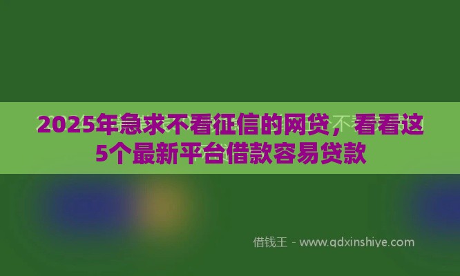 2025年急求不看征信的网贷，看看这5个最新平台借款容易贷款