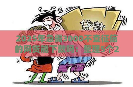 2025年急需3000不查征信的网贷能下款吗：整理5个2025热门借款软件
