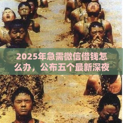 2025年急需微信借钱怎么办，公布五个最新深夜秒下款的高炮口子