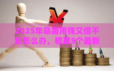 2025年急需用钱又借不到怎么办，梳理5个最新14天下款的口子