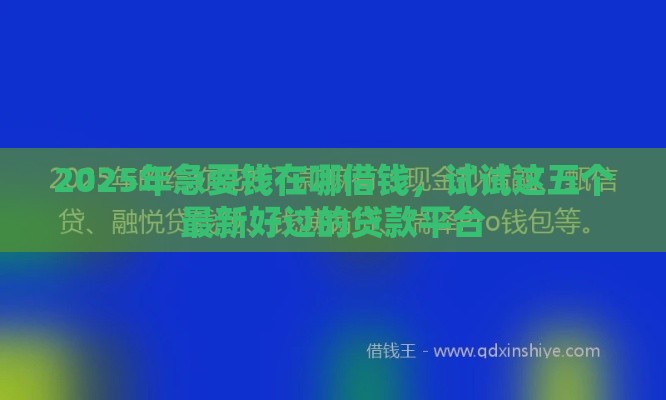 2025年急要钱在哪借钱，试试这五个最新好过的贷款平台