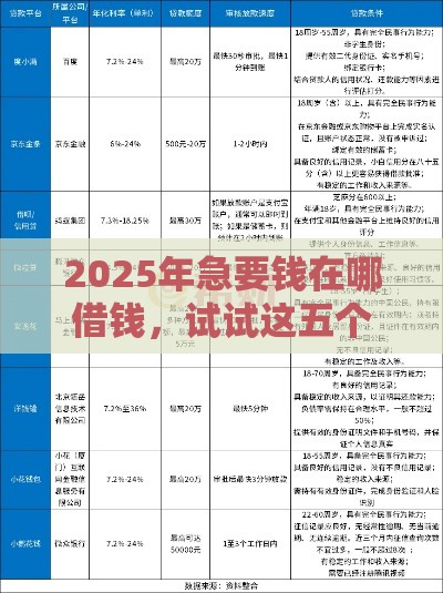 2025年急要钱在哪借钱，试试这五个最新好过的贷款平台