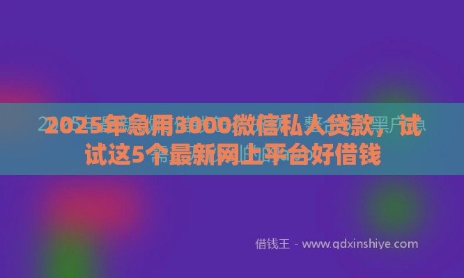 2025年急用3000微信私人贷款，试试这5个最新网上平台好借钱