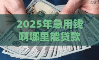 2025年急用钱啊哪里能贷款，整理5个最新黑户逾期贷款平台
