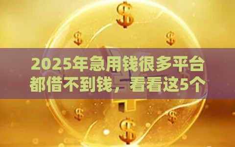 2025年急用钱很多平台都借不到钱，看看这5个最新贷款客户平台