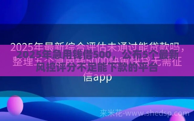2025年急用钱借500，公布5个最新风控评分不足能下款的平台