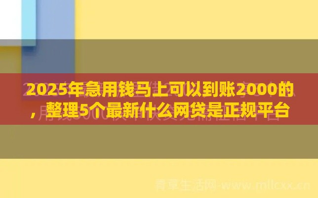 2025年急用钱马上可以到账2000的，整理5个最新什么网贷是正规平台