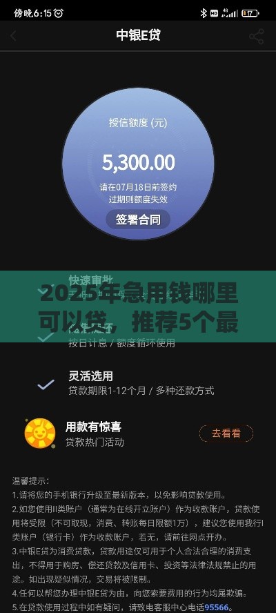 2025年急用钱哪里可以贷，推荐5个最新电商贷款平台