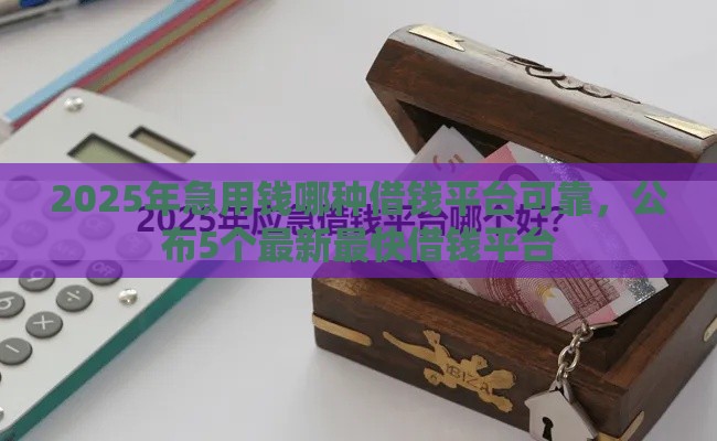 2025年急用钱哪种借钱平台可靠，公布5个最新最快借钱平台