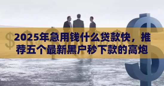 2025年急用钱什么贷款快，推荐五个最新黑户秒下款的高炮口子