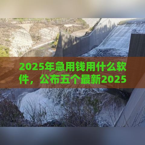 2025年急用钱用什么软件，公布五个最新2025放水网贷平台