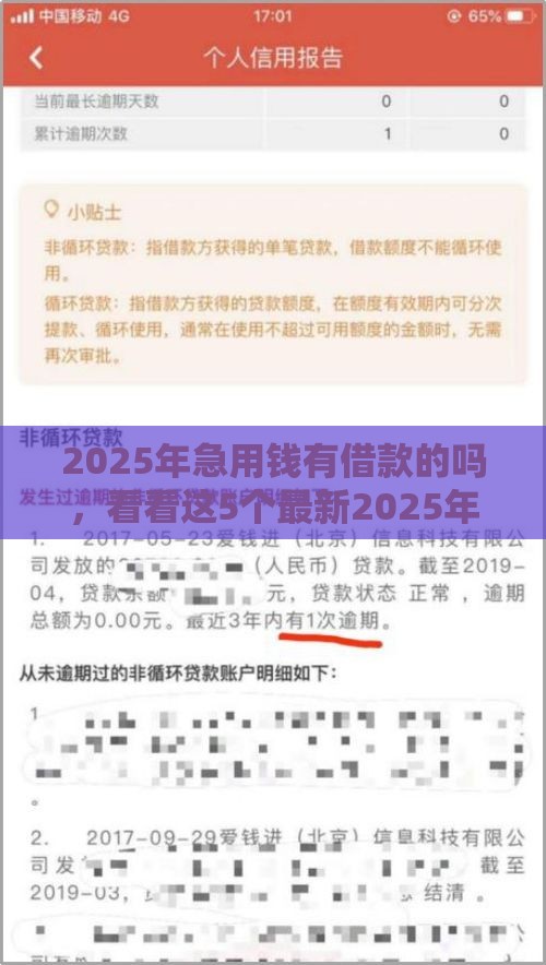 2025年急用钱有借款的吗，看看这5个最新2025年12月下款口子