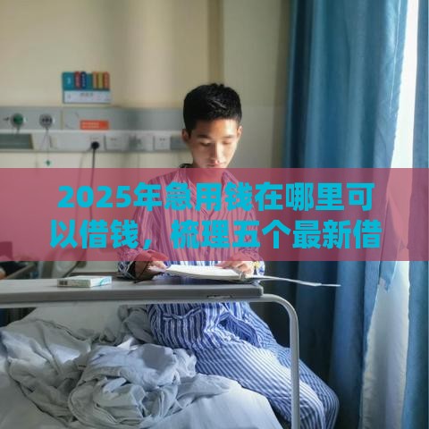 2025年急用钱在哪里可以借钱，梳理五个最新借款平台借钱容易通过