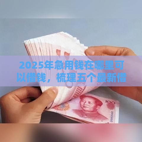 2025年急用钱在哪里可以借钱，梳理五个最新借款平台借钱容易通过