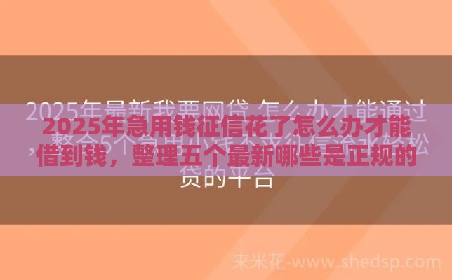 2025年急用钱征信花了怎么办才能借到钱，整理五个最新哪些是正规的网贷平台