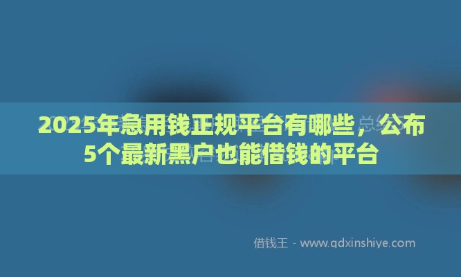 2025年急用钱正规平台有哪些，公布5个最新黑户也能借钱的平台
