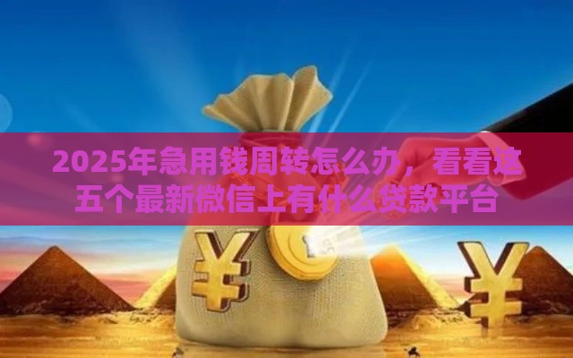 2025年急用钱周转怎么办，看看这五个最新微信上有什么贷款平台