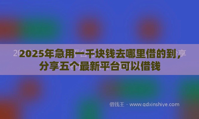 2025年急用一千块钱去哪里借的到，分享五个最新平台可以借钱