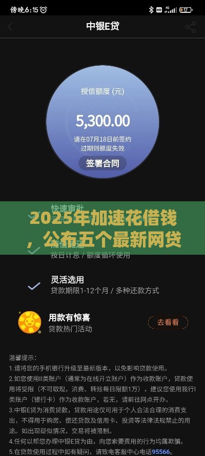 2025年加速花借钱，公布五个最新网贷平台怎么推广