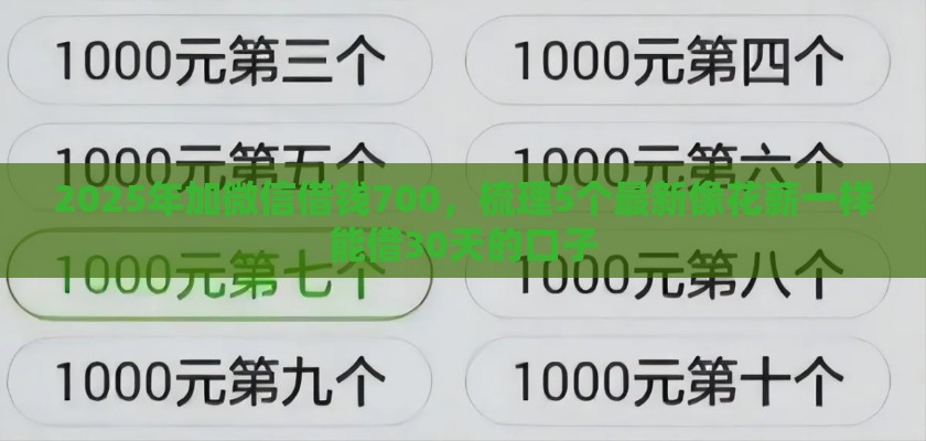 2025年加微信借钱700，梳理5个最新像花薪一样能借30天的口子
