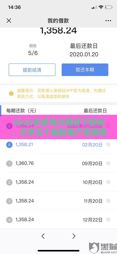 2025年家电分期好下款吗，分享五个最新黑户逾期借款平台