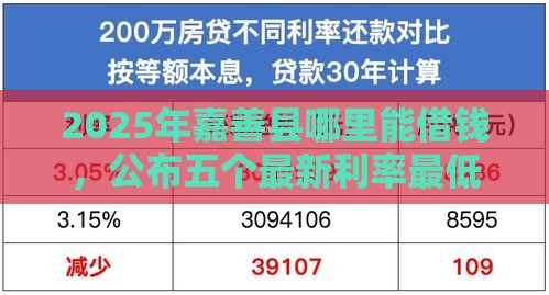 2025年嘉善县哪里能借钱，公布五个最新利率最低的贷款平台