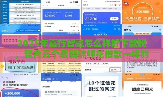 2025年嘉行智融怎么样好下款吗,整合五个最新锦鲤花借款一样的平台 2025年嘉行智融怎么样好下款吗,整合五个最新锦鲤花借款一样的平台