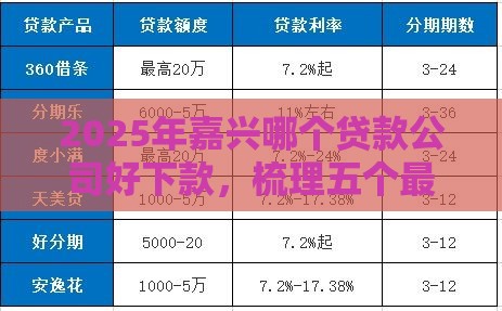 2025年嘉兴哪个贷款公司好下款，梳理五个最新网贷平台好