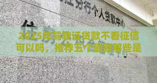 2025年驾驶证贷款不看征信可以吗，推荐五个最新那些是正规的网贷平台