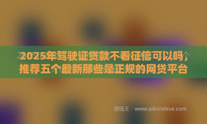 2025年驾驶证贷款不看征信可以吗，推荐五个最新那些是正规的网贷平台