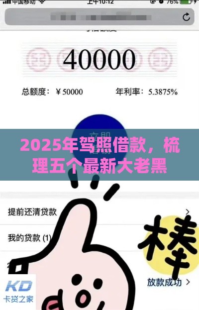 2025年驾照借款，梳理五个最新大老黑能下款的口子