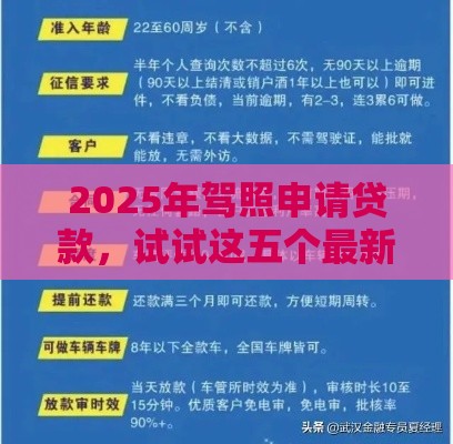 2025年驾照申请贷款，试试这五个最新最可靠的贷款平台