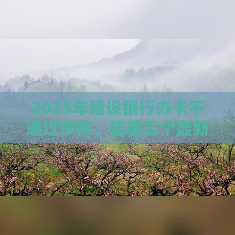 2025年建设银行办卡不通过审核，梳理五个最新黑贷款马上下款的口子